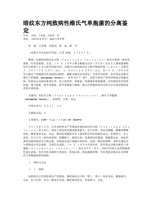 暗纹东方纯致病性维氏气单胞菌的分离鉴定