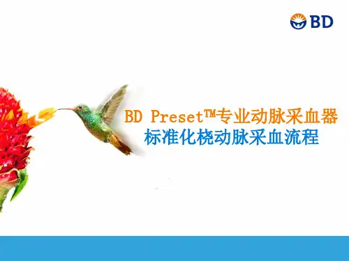 标准化桡动脉采血流程