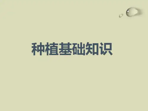 种植基础知识自作概要