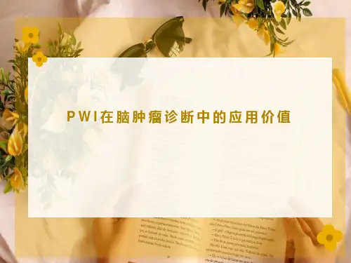 PWI在脑肿瘤诊断中的应用价值