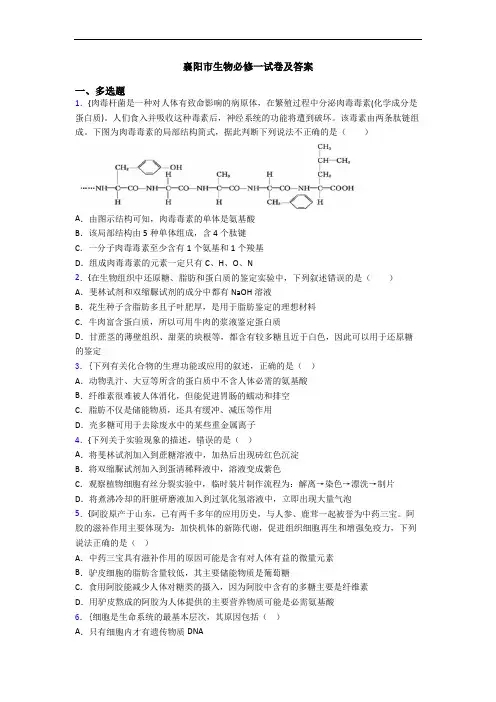 襄阳市生物必修一试卷及答案