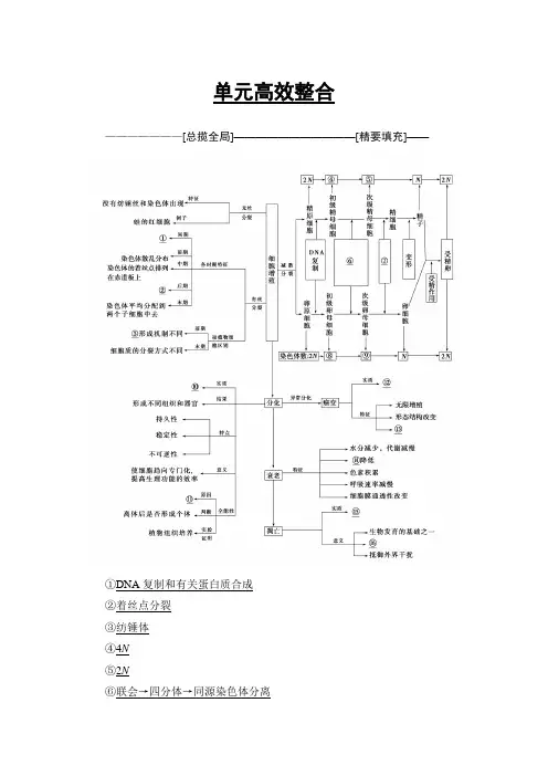 高三生物人教一轮复习练习：必修1 第4单元 单元高效整合 含答案
