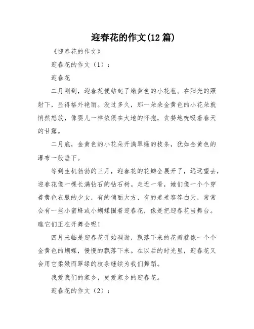 迎春花的作文(12篇)