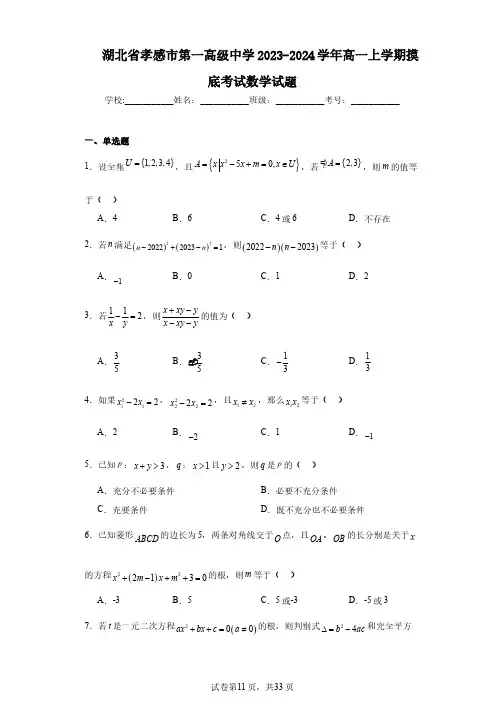 湖北省孝感市第一高级中学2023-2024学年高一上学期摸底考试数学试题