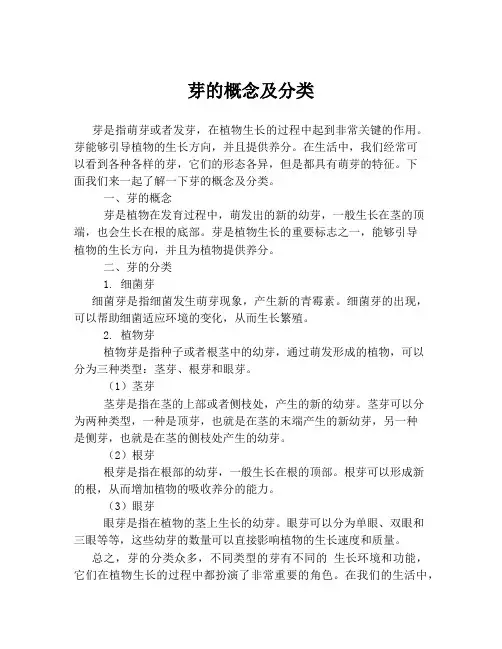 芽的概念及分类