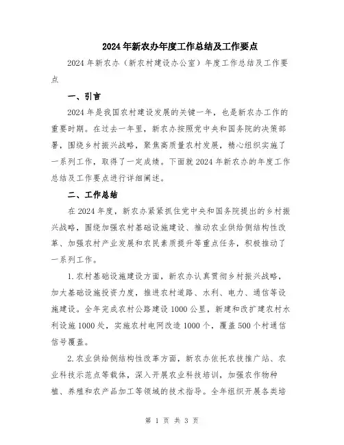 2024年新农办年度工作总结及工作要点