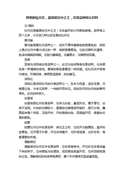 鲜艳的牡丹花，富贵的花中之王，名贵品种你认识吗