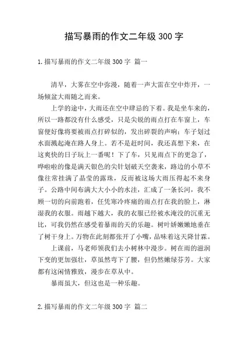 描写暴雨的作文二年级300字