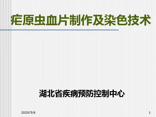 2019415疟原虫血片制作染色-PPT课件