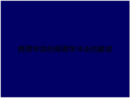 病理学战伤病理学冲击伤解读
