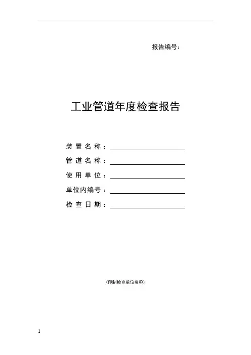 工业管道年度检查报告
