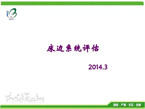 床边系统评估