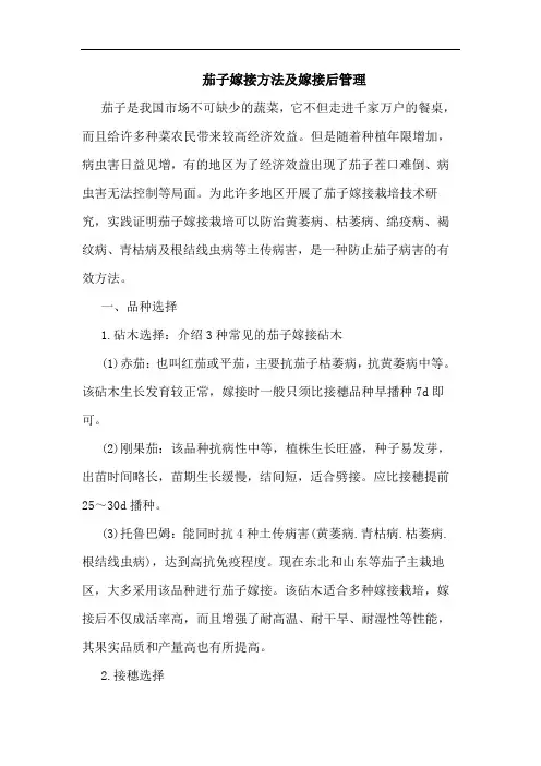 茄子嫁接方法及嫁接后管理