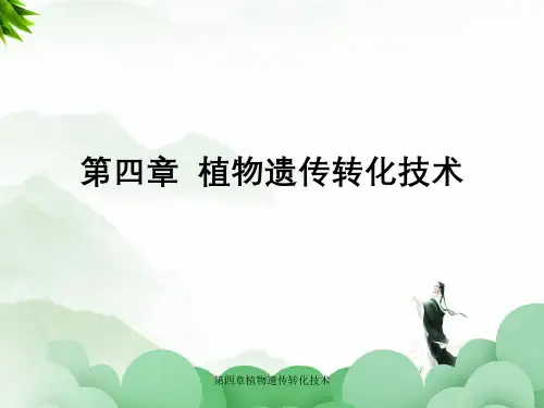 第四章植物遗传转化技术