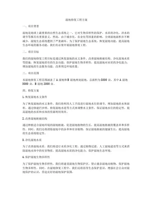 湿地修复工程方案
