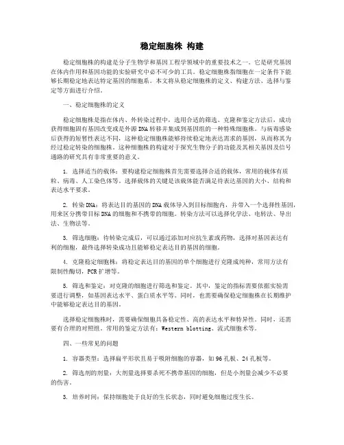 稳定细胞株 构建