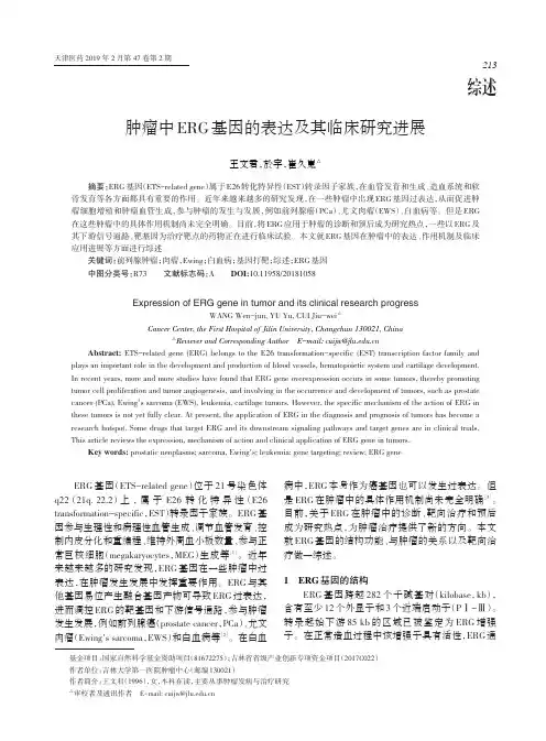 肿瘤中ERG基因的表达及其临床研究进展