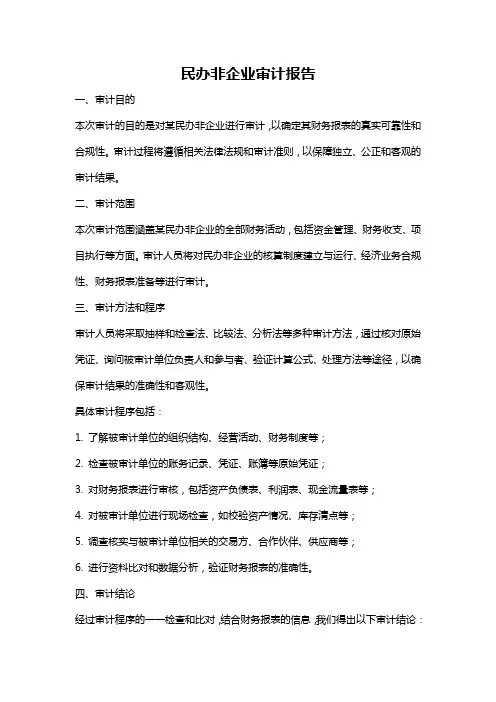 民办非企业审计报告