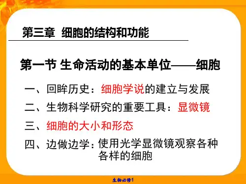 生命活动的基本单位——细胞ppt课件