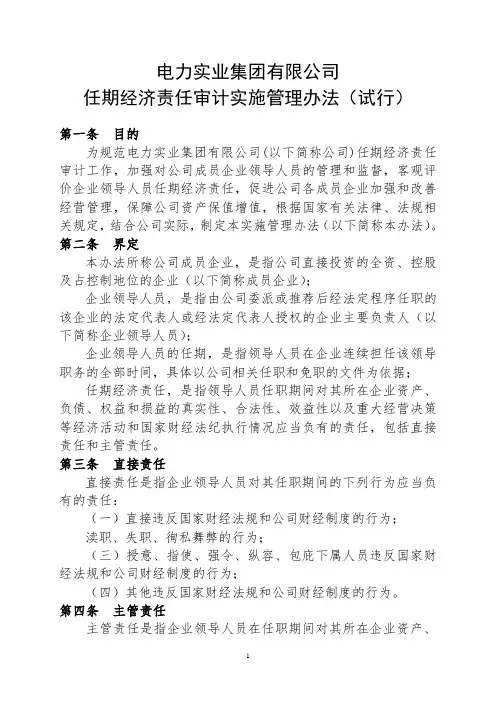 电力实业集团任期经济责任审计实施管理办法(试行)