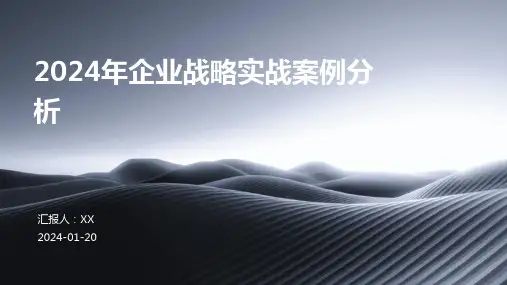 2024年企业战略实战案例分析