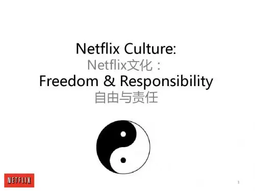 Netflix文化自由与责任