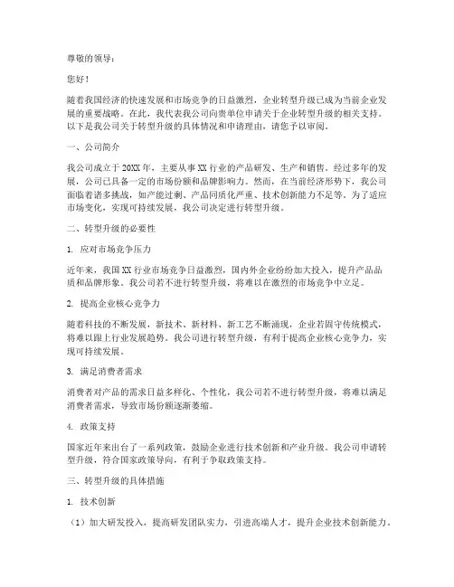 申请报告转型升级