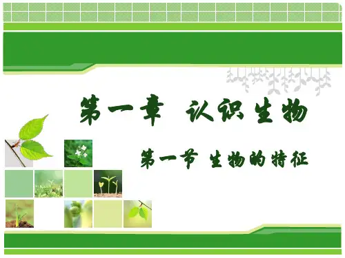 人教版七年级生物上册第一单元第一章 第一节生物的特征(共33张PPT)