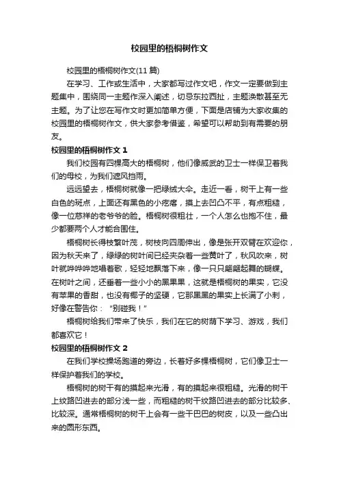 校园里的梧桐树作文