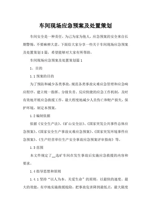 车间现场应急预案及处置策划