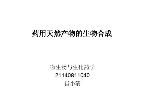 药用天然产物的生物合成--崔小清