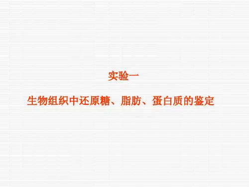 生物实验1 生物组织中还原糖脂肪蛋白质的鉴定