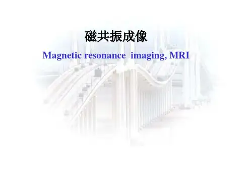 磁共振成像原理(经典)-ppt