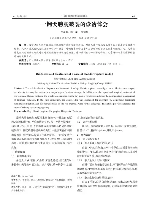一例犬膀胱破裂的诊治体会