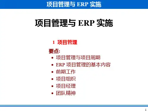 项目管理与erp实施