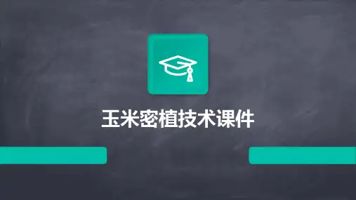 玉米密植课件ppt