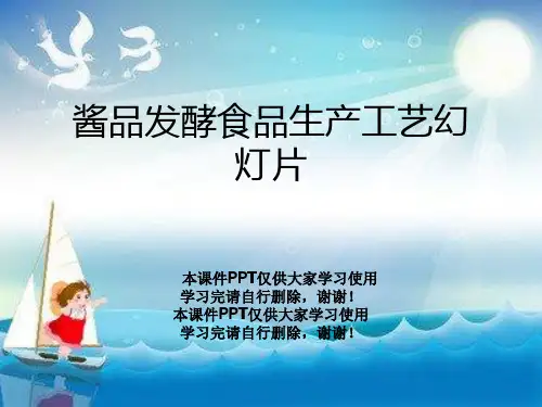 酱品发酵食品生产工艺幻灯片