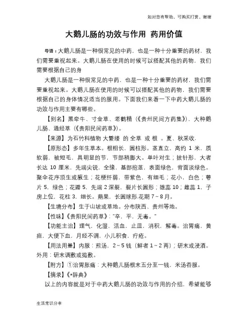 大鹅儿肠的功效与作用 药用价值
