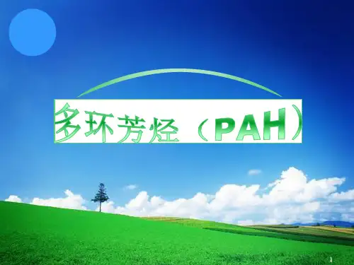 多环芳烃ppt课件