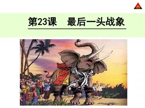 23_最后一头战象自改新