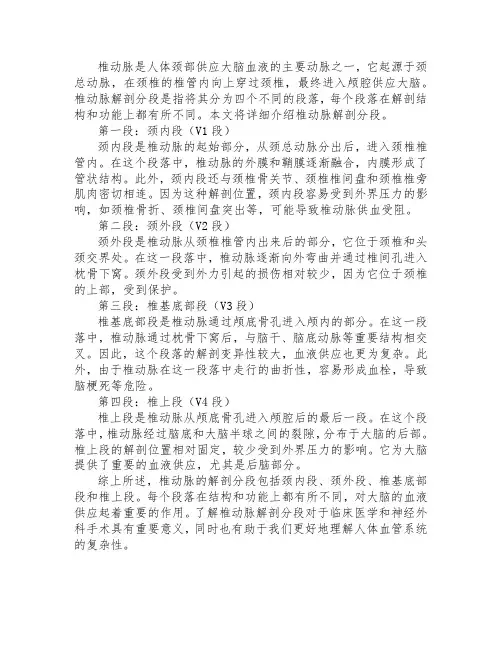 椎动脉解剖分段