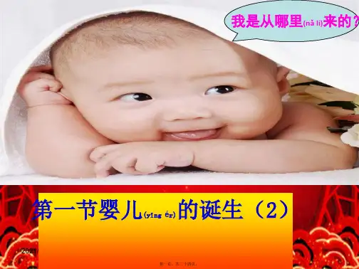 八年级生物上册 4.3.1《婴儿的诞生》课件2 