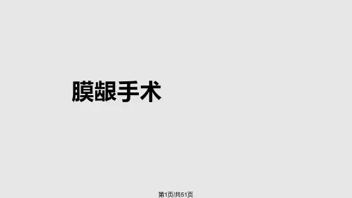 牙周手术PPT课件