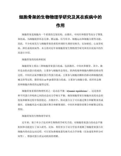 细胞骨架的生物物理学研究及其在疾病中的作用