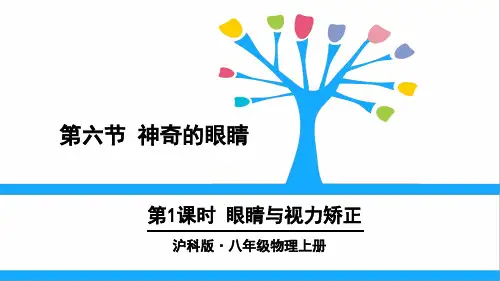 《神奇的眼睛》PPT课件 沪科版物理