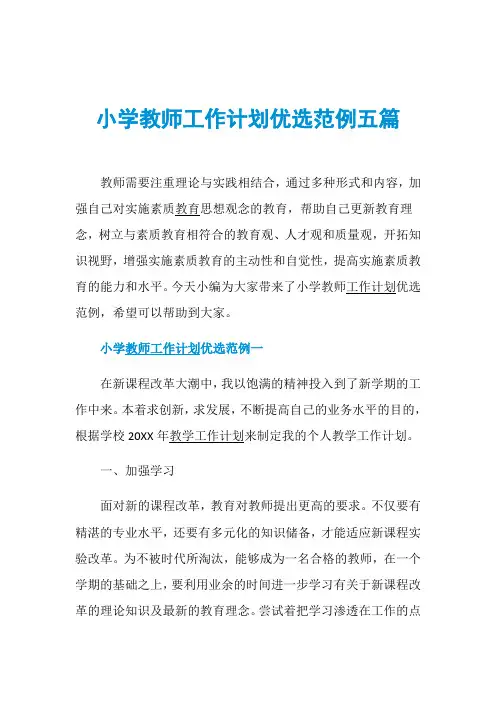 小学教师工作计划优选范例五篇