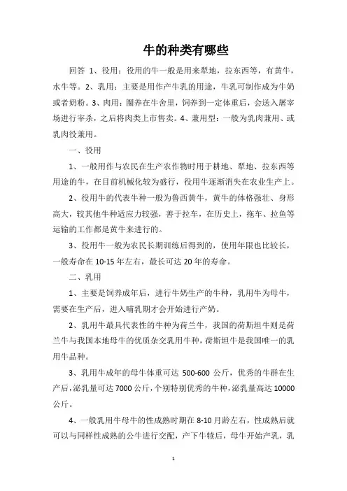 牛的种类有哪些