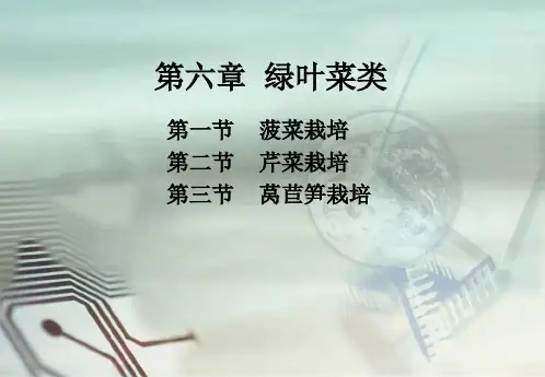 第六章  绿叶菜类蔬菜栽培PPT课件