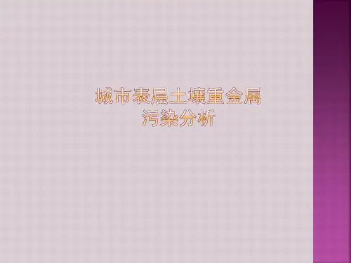 城市土壤重金属污染程度分析PPT课件