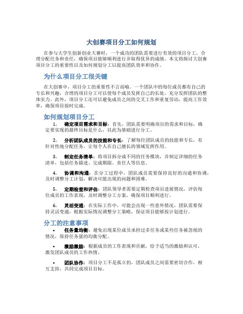 大创赛项目分工怎么写